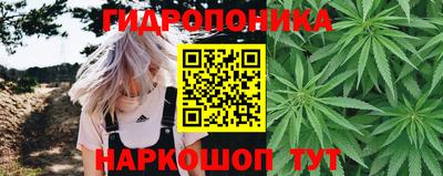 кокс Аргун