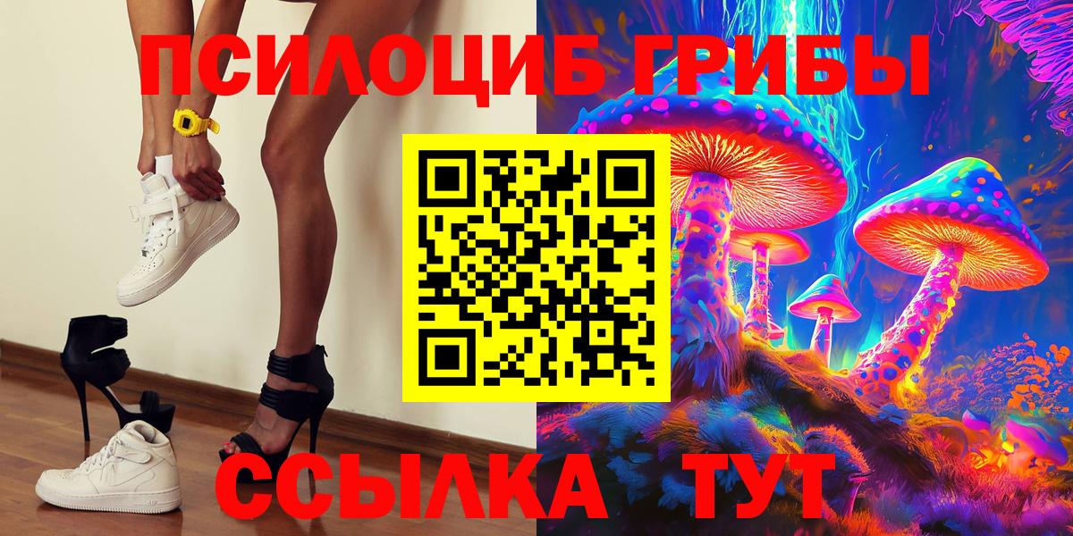 Псилоцибиновые грибы Cubensis Бугуруслан