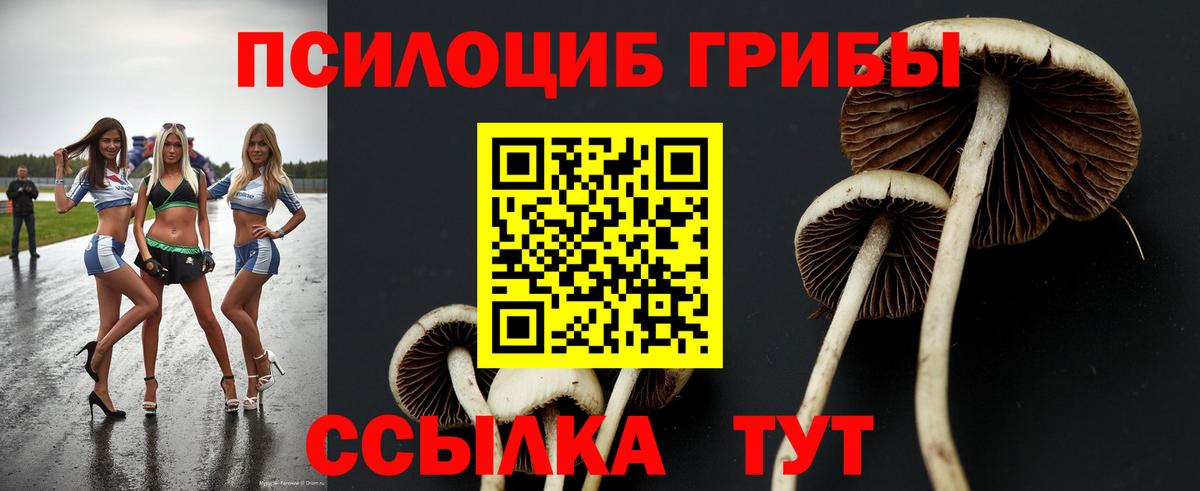 Галлюциногенные грибы прущие грибы  Псилоцибиновые грибы мухоморы  наркота  Вход с VPN  Бугуруслан 