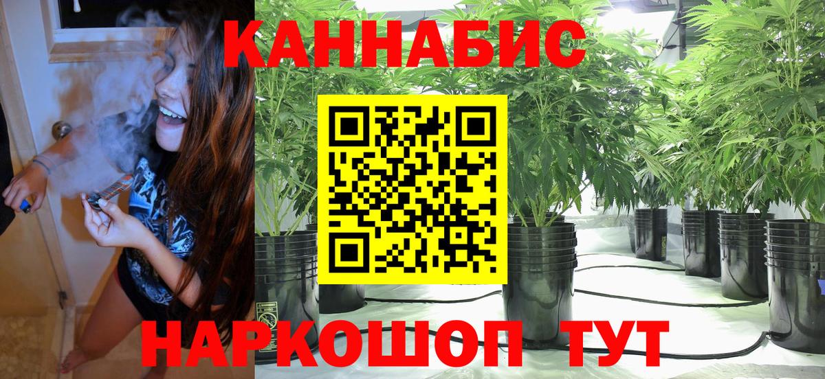 Бошки марихуана Bruce Banner Бугуруслан